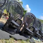Peacock Chairs