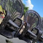 Black Peacock Chairs