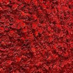 Big Rose Flower Wall